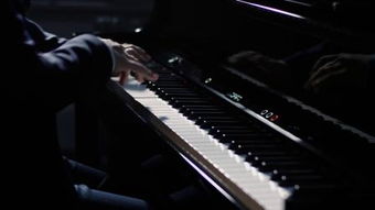 數(shù)碼鋼琴與鋼琴 現(xiàn)代演奏的雙重奏